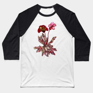 Pitcher Plant, Sarracenia purpurea Baseball T-Shirt